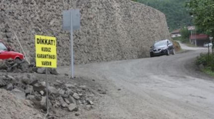 Giresun'un &Ccedil;anak&ccedil;ı İl&ccedil;esi Kuduz Karantinasına Alındı