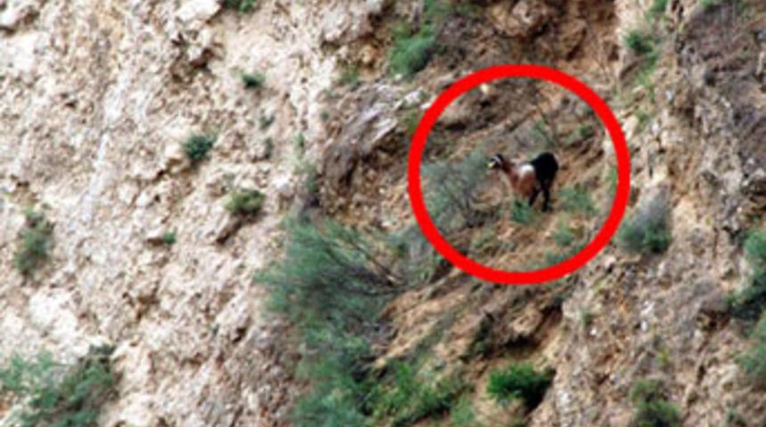 Sarı Kız kurtarılmayı bekliyor