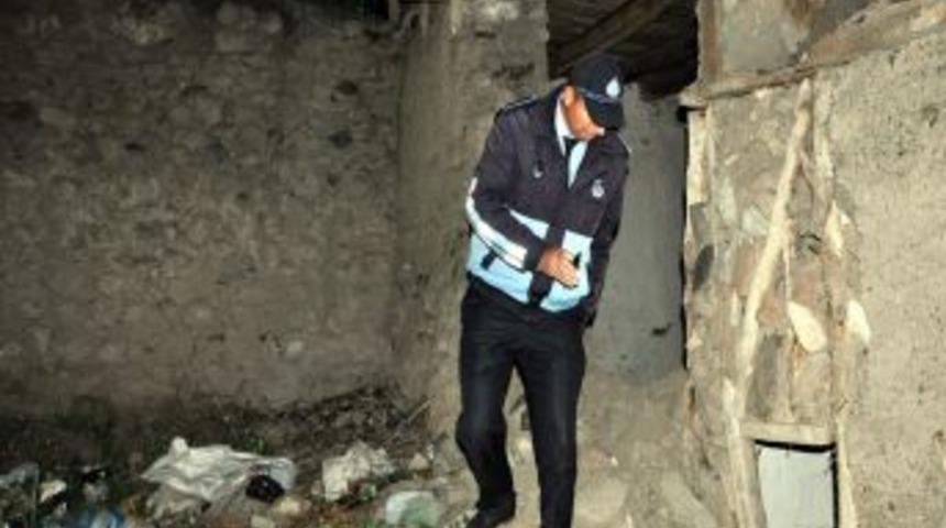 Sivas'ta K&ouml;peğin Saldırısına Uğrayan 7 Yaşındaki &Ccedil;ocuk Ağır Yaralandı