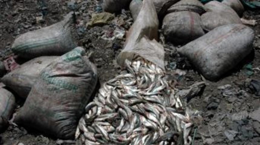 Van'da Ka&ccedil;ak Avlanmış 17 Bin 750 Kilo Balık Ele Ge&ccedil;irildi