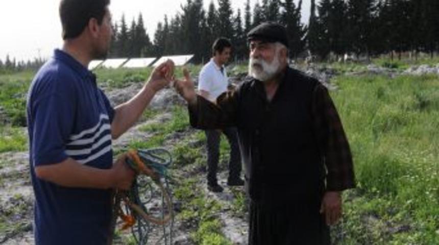 Ka&ccedil;ak İnek Vurularak Yakalandı