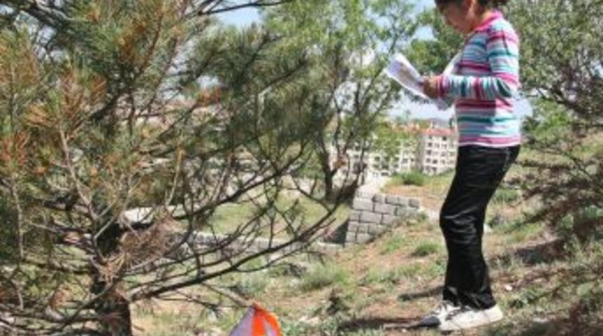 Sungurlu'da Oryantiring Heyecanı
