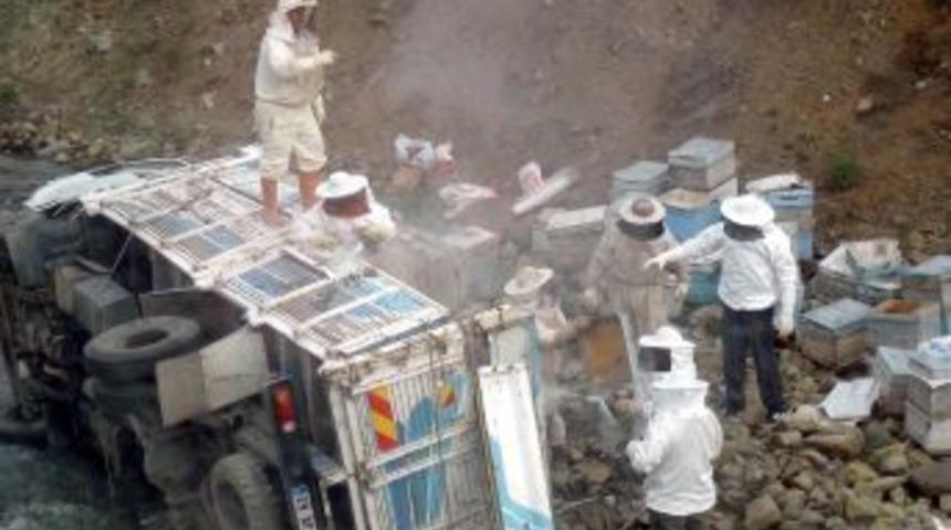 Erzincan'da Kamyon Devrilince Arılar Karayolunu İstila Etti