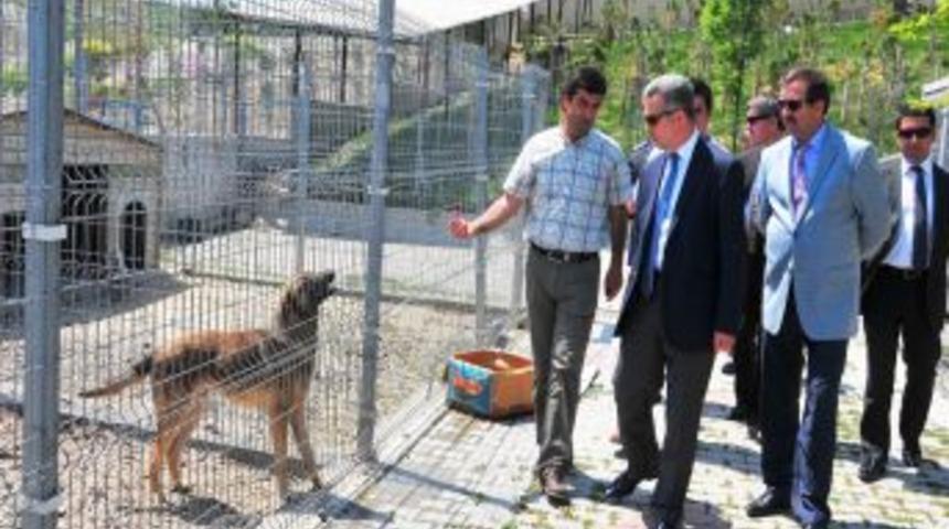 Başkan Uzun: "hayvan Barınağı'nı Parka &Ccedil;eviriyoruz"