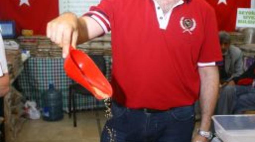 Siyez Bulguruna B&uuml;y&uuml;k İlgi