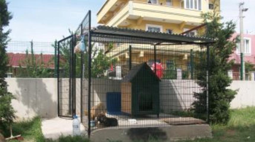 Okul bah&ccedil;esine hayvan kul&uuml;besi yaptılar