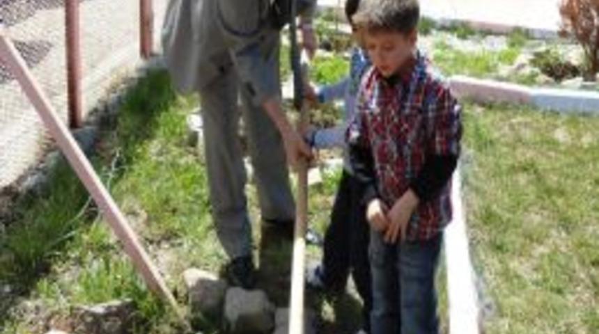 Minik eller ağa&ccedil; dikti