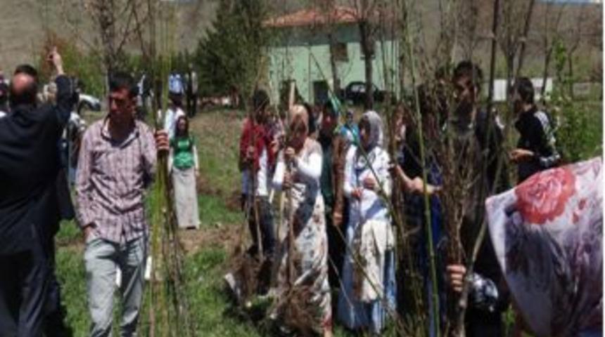 Pasinler Meslek Y&uuml;ksek Okulu 400 Meyve Fidanı, 1500 Sarı&ccedil;am Dikti