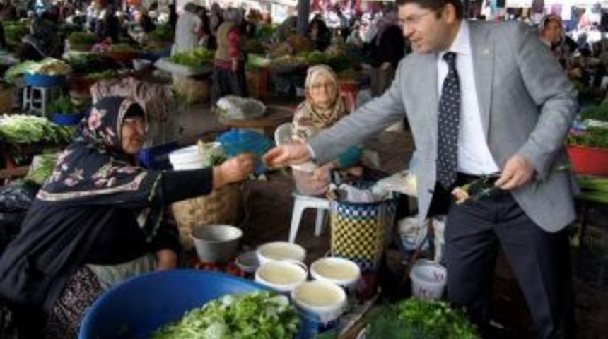 Milletvekili Tun&ccedil;, Kadınlara Karanfil Dağıttı