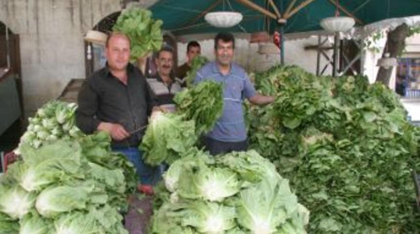 Marulun Tanesi 50 Kuruşa D&uuml;şt&uuml;