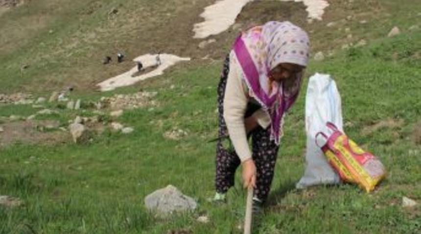 Anneler G&uuml;n&uuml;'N&uuml;n &Ouml;teki Y&uuml;z&uuml;