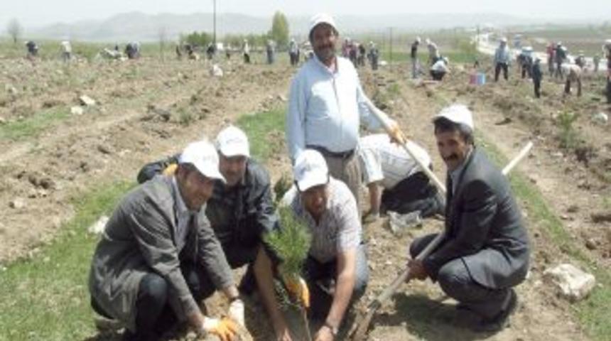 Pasinler'De 4 Bin 500 Fidan Toprakla Buluştu