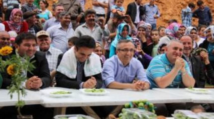 Gezende Eriği Festivalle Tanıtılıyor