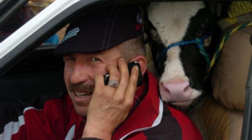 İkinci 'Dana Ferhat' olayı