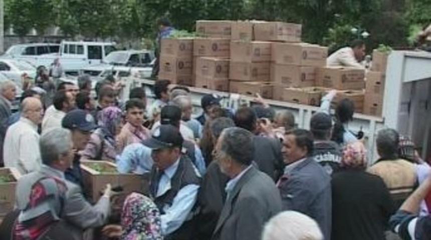 Kocasinan Belediyesi 50 Bin Domates Fidesi Dağıttı