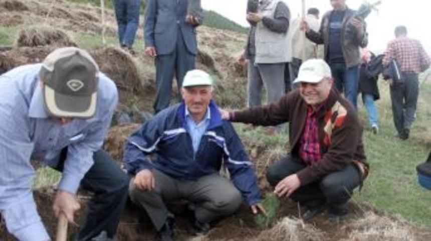 Beah Ormanı, Erzurum'un Havasını Temiz Tutacak