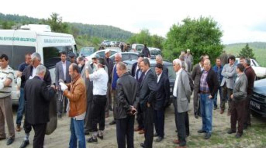 Kene Kabusu Geri D&ouml;nd&uuml;