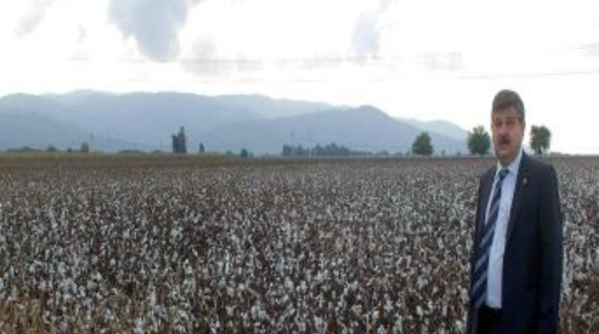 Posacı, "ithal Politikasının Yanlışlığı Yıllar Sonra Anlaşıldı"