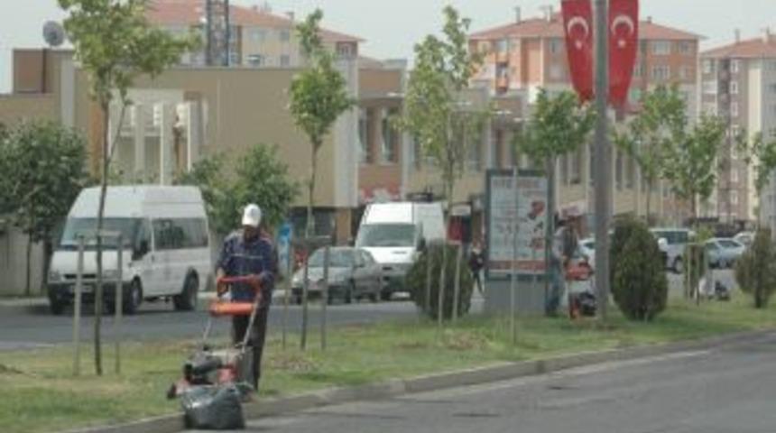 Park, Bah&ccedil;e Ve Ref&uuml;jlere Yaz Bakımı