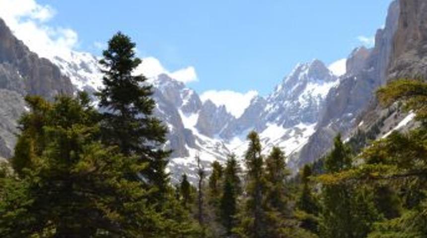 Ukraynalı Dağcılar Kurtarıldı