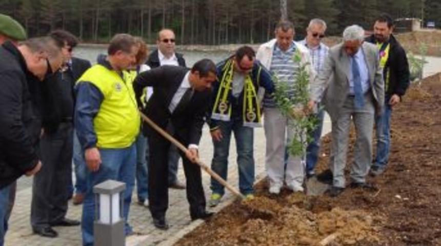 Fenerbahçe'nin Topuk Yaylası'ndaki Tesisi Düzce Derneği Tarafından Ağaçlandırılıyor
