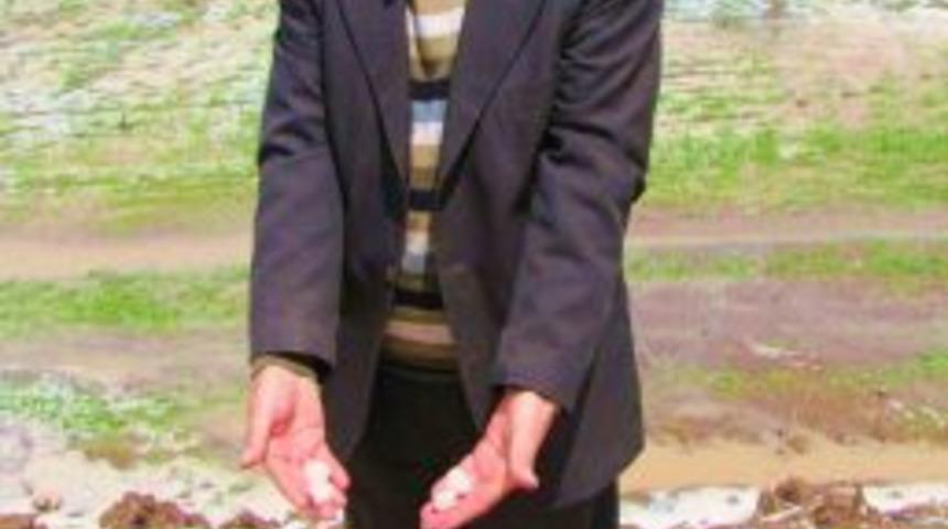 Kars'ta Dolu Tarım Arazilerini Vurdu