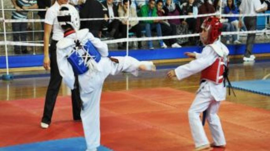 D&uuml;zce Taekwondo'ya Doydu