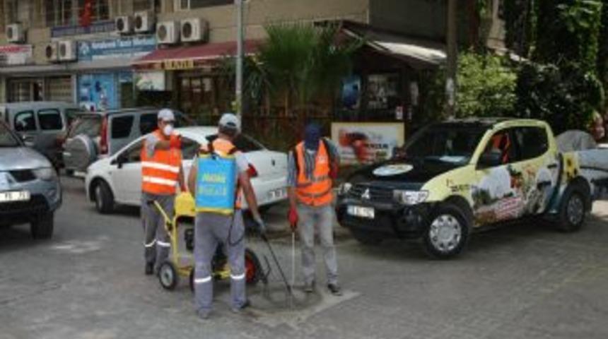 Sinekle M&uuml;cadele Aralıksız S&uuml;r&uuml;yor