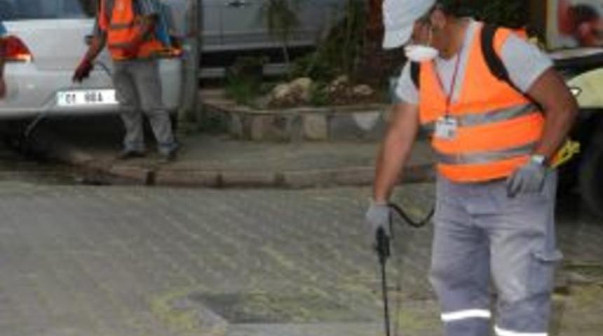 'Adanalıların Duyarlılığı &Ouml;l&ccedil;&uuml;s&uuml;nde Sinekle M&uuml;cadelede Başarılı Oluruz'