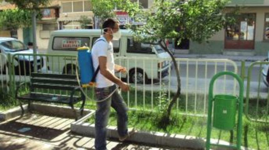 Gemlik Belediyesi'nden Kene İla&ccedil;laması