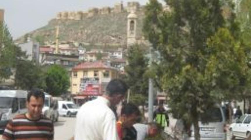 Orta Kaldırımlarda Kuruyan Ağa&ccedil;lar Değiştirildi