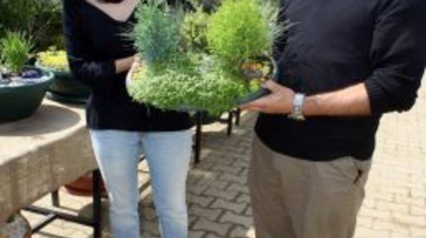 Minyat&uuml;r Bah&ccedil;eler Şehrin Stresinden Kurtulmanın En İyi Yolu