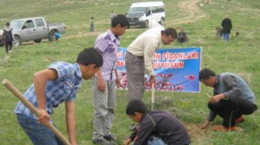 Van'da '14 Bin &Ccedil;ocuk, 14 Bin Fidan' Projesi Start Aldı