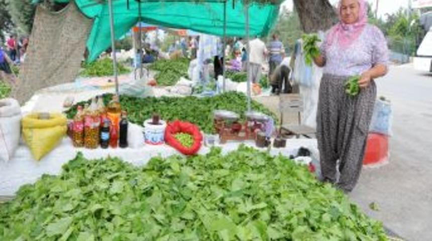 Asma Yaprağı K&ouml;yl&uuml;n&uuml;n Ge&ccedil;im Kaynağı Oldu
