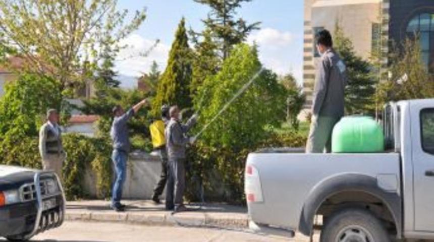 Niğde'de Sinekle M&uuml;cadele Ekipleri İş Başında