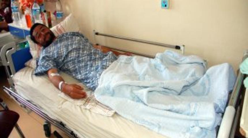 At, Sahibinin Cinsel Organını Isırdı