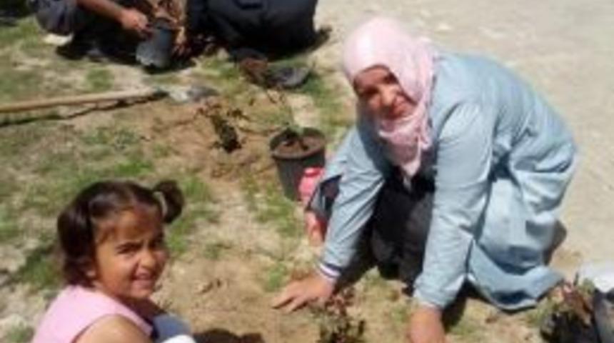 Sevgi Evleri'nde 'aile Haftası' Programı