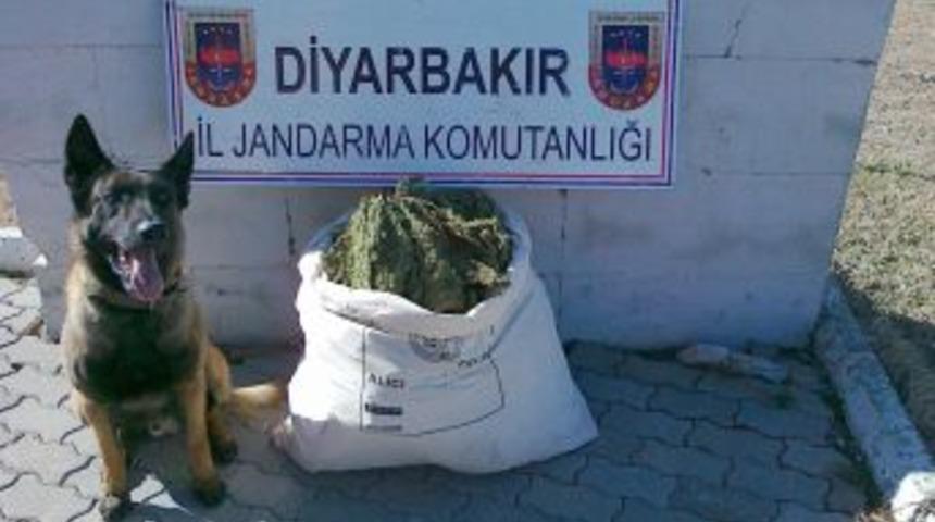 Diyarbakır&rsquo;da Trenle Uyuşturucu Sevkıyatı Jandarmaya Takıldı