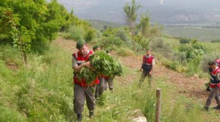 Adana'da Uyuşturucu Operasyonu