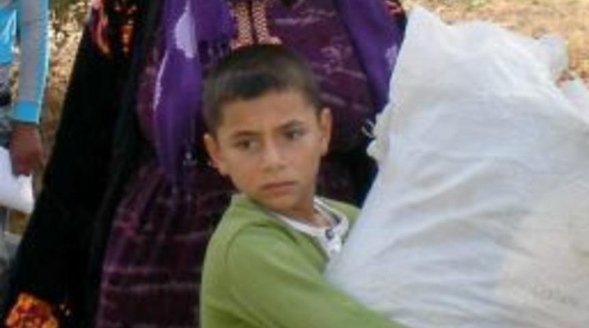 T&uuml;rkiyeli Ve Suriyelilerin Akraba &Ouml;zlemi