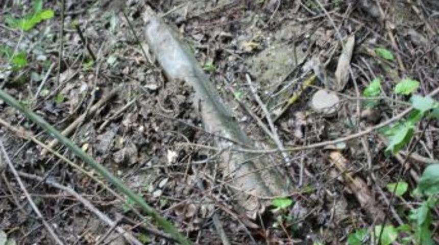 Bartın'da Lav Silahı Bulundu