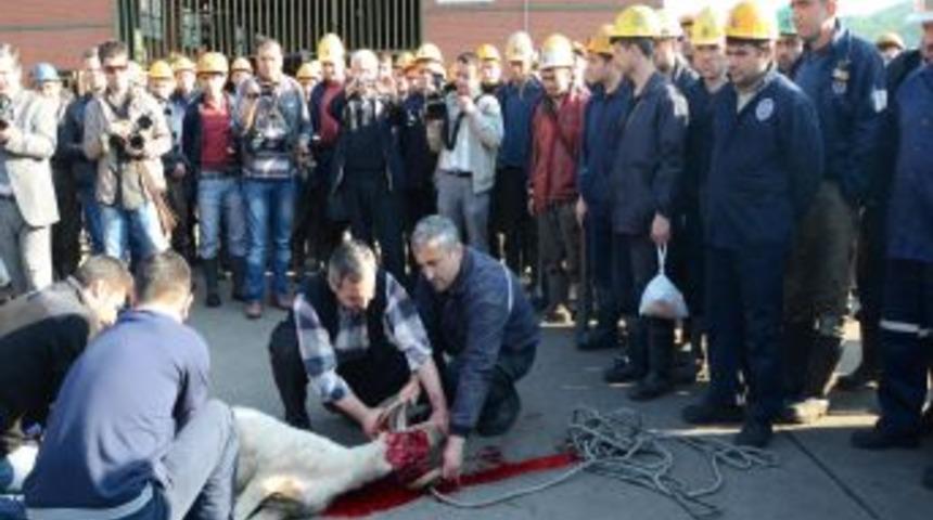 Grizu Şehitleri Anısına Kurban Kesildi