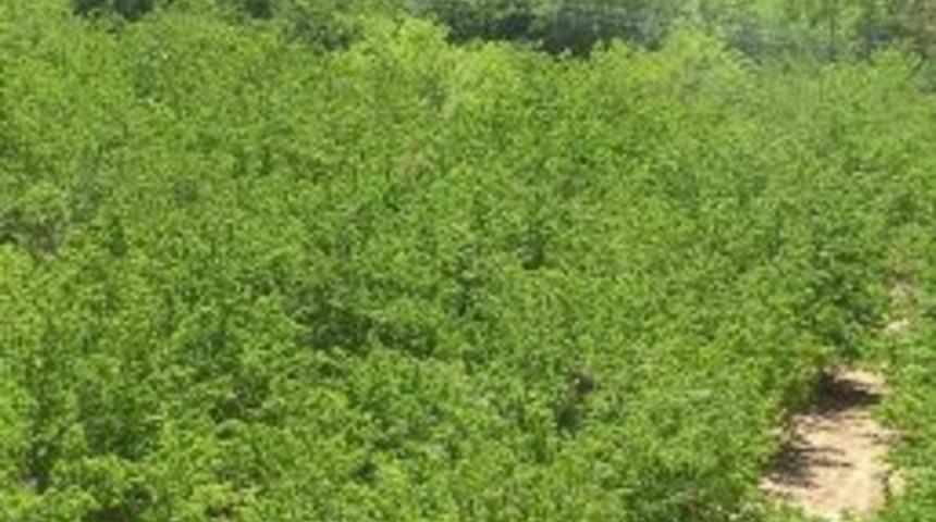 &Ccedil;evre D&uuml;zeni Planı'na İtiraz Edildi