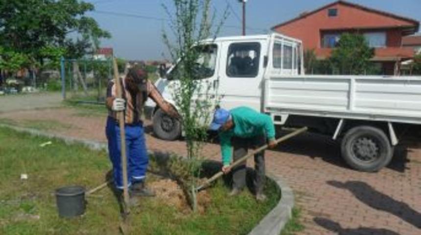 Kartepe Belediyesi Telaltı Parkı'nda &Ccedil;evre D&uuml;zenlemesi Yapıyor