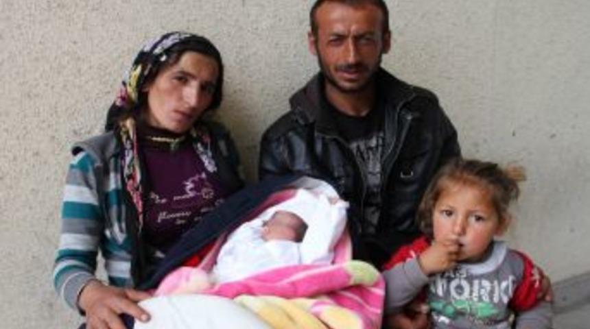 20 G&uuml;nl&uuml;k Bebeği Kene Isırdı