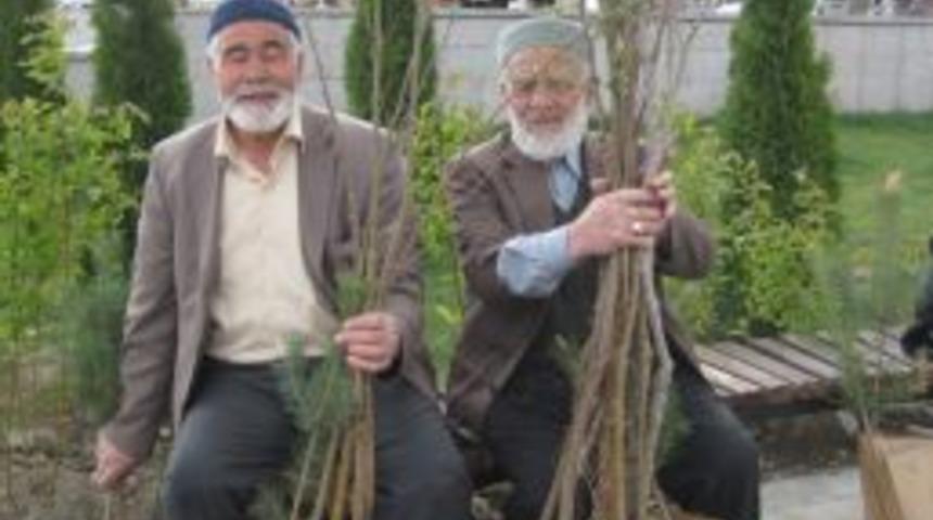 Orman B&ouml;lge M&uuml;d&uuml;rl&uuml;ğ&uuml; 10 Bin Fidan Dağıttı