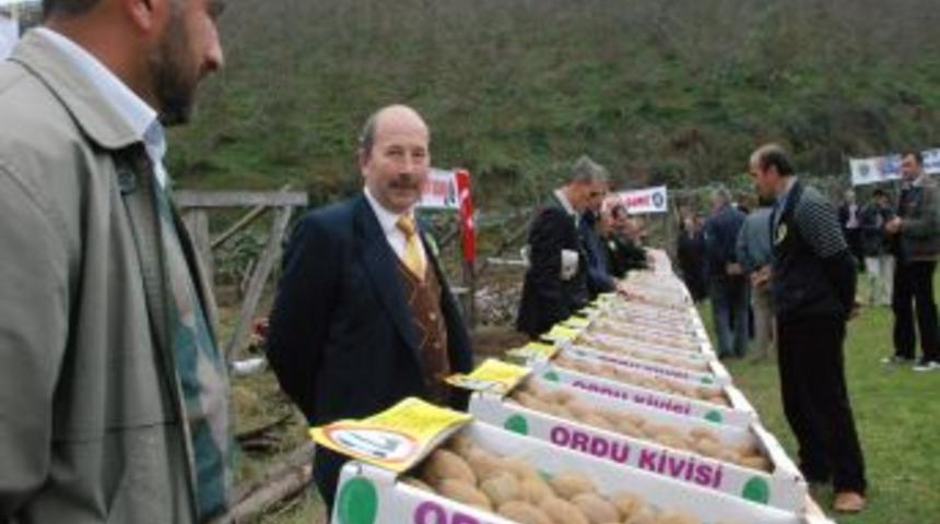 Kivi Birlikleri &Ccedil;&ouml;z&uuml;m Bekliyor
