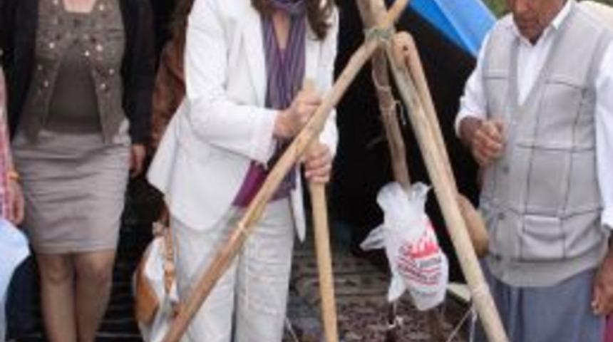 Ne&uuml; 5. Bahar Şenlikleri Başladı