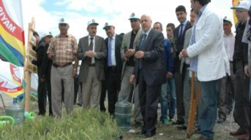 Hak-İş Engelliler İ&ccedil;in Hatıra Ormanı'nda Fidan Dikti