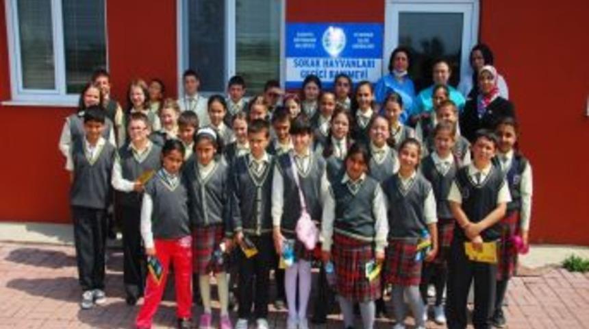 B&uuml;y&uuml;kşehir Belediyesi'nden &Ouml;ğrencilere &Ccedil;evre Eğitimi